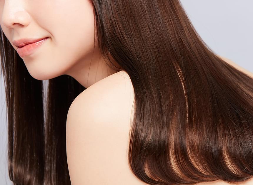 エクセルシアの想い