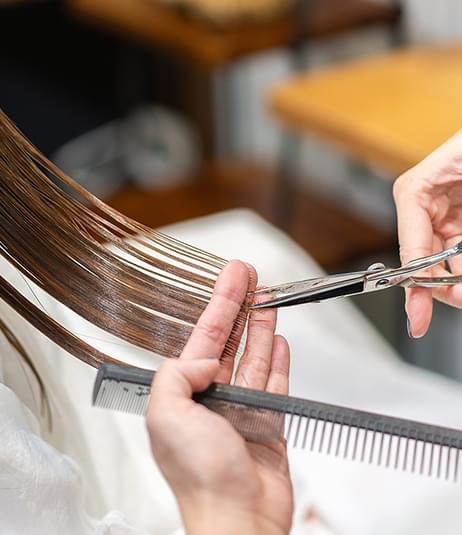 メニューのご案内