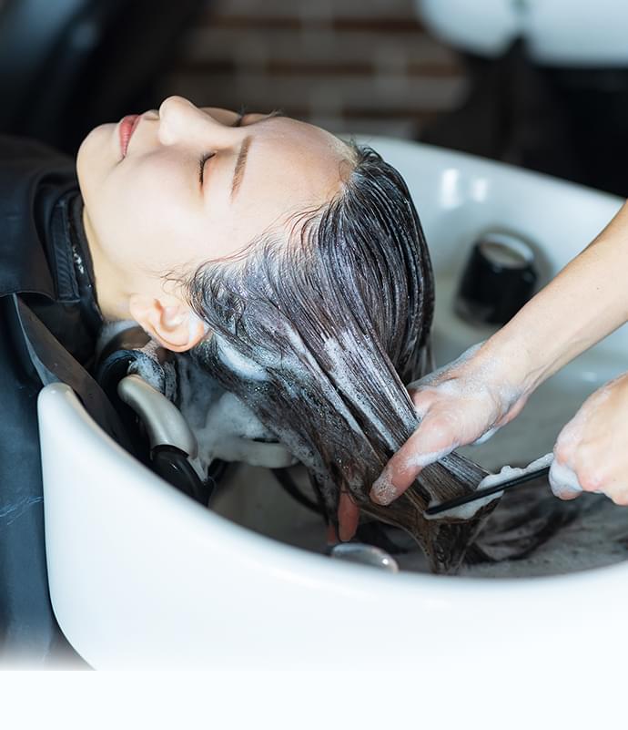 メニューのご案内